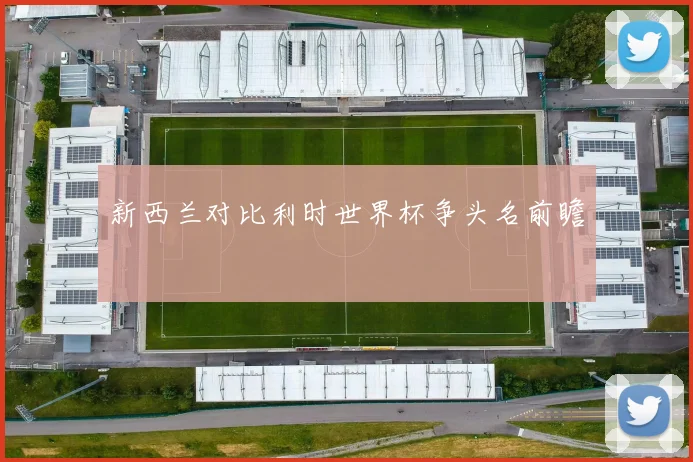 新西兰对比利时世界杯争头名前瞻