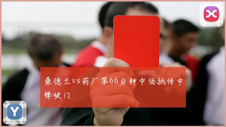 桑德兰vs药厂第66分钟中场挑传中锋破门