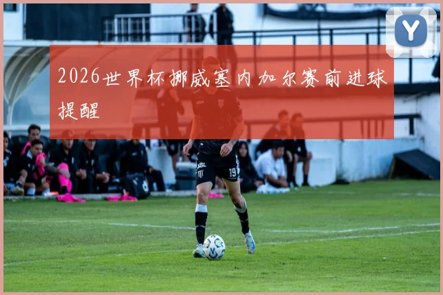 2026世界杯挪威塞内加尔赛前进球提醒