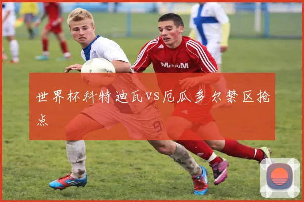 世界杯科特迪瓦vs厄瓜多尔禁区抢点
