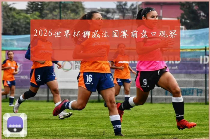 2026世界杯挪威法国赛前盘口观察