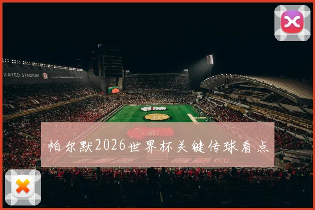 帕尔默2026世界杯关键传球看点