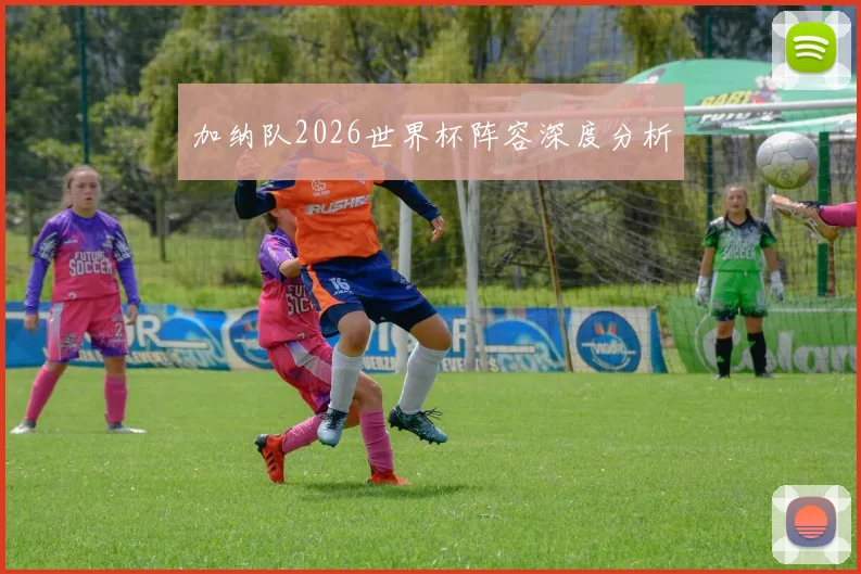 加纳队2026世界杯阵容深度分析