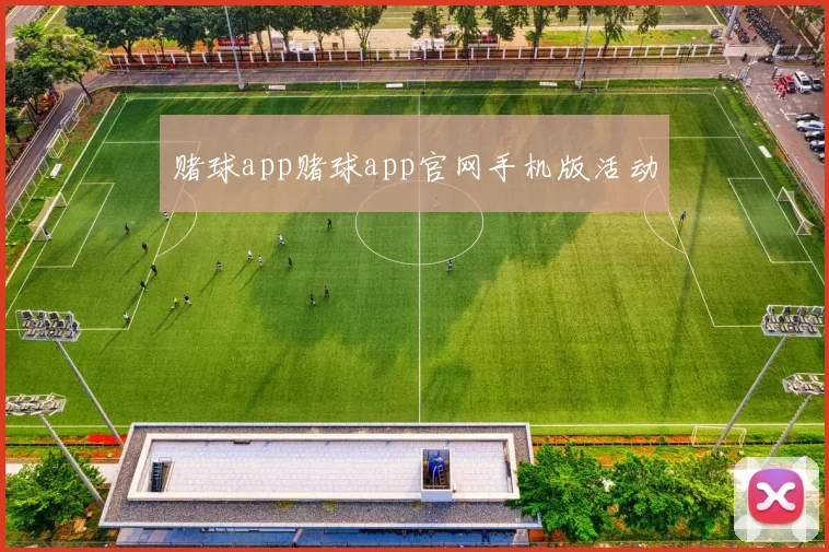 赌球app赌球app官网手机版活动