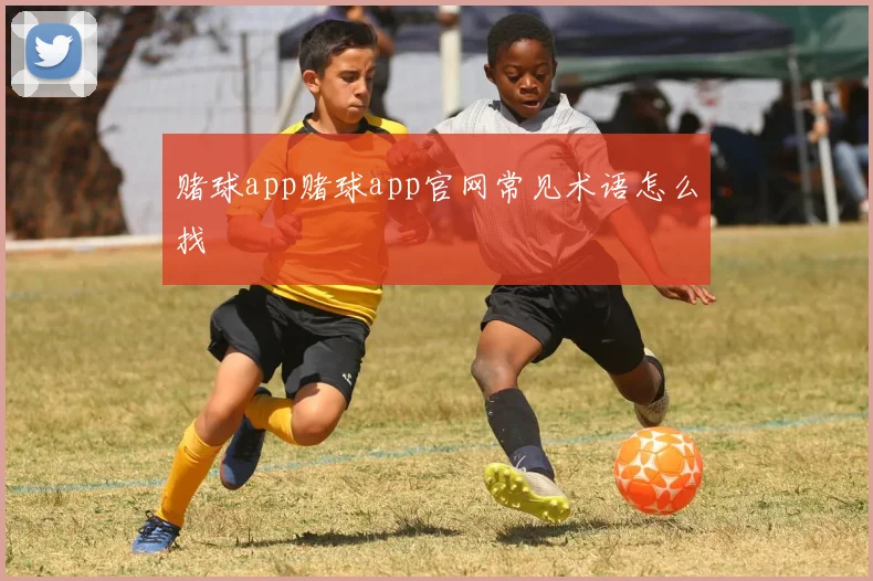 赌球app赌球app官网常见术语怎么找