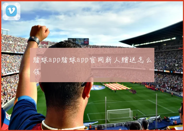 赌球app赌球app官网新人赠送怎么领